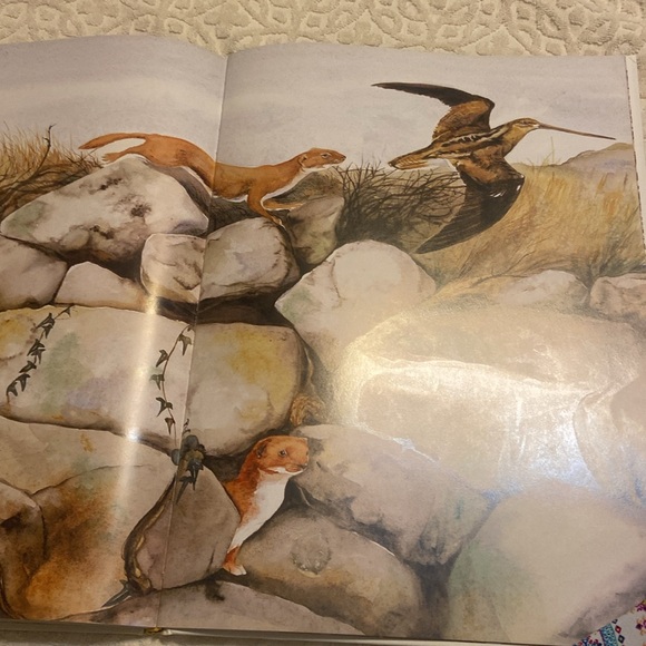 The lost words a Spell Book Macfarlane & Jackie Morris book - Picture 4 of 5